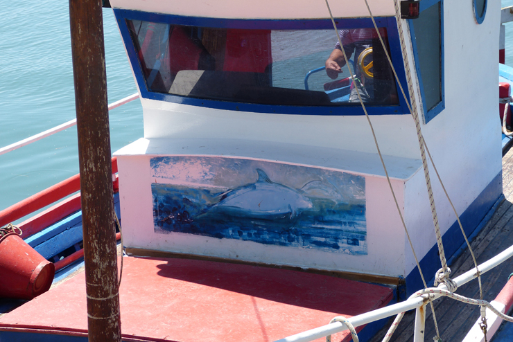 Manolis boat dolphin740